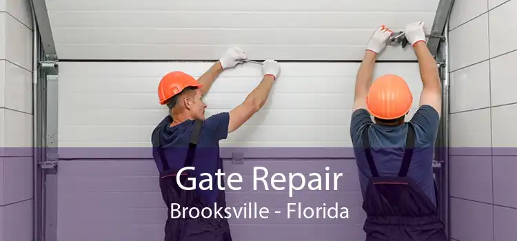 Gate Repair Brooksville - Florida