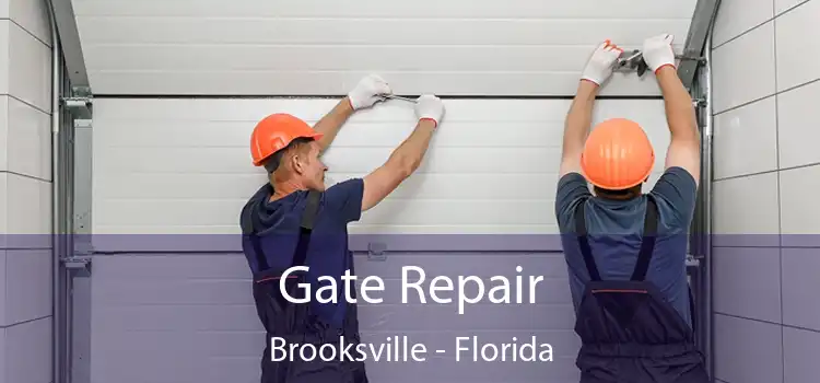 Gate Repair Brooksville - Florida