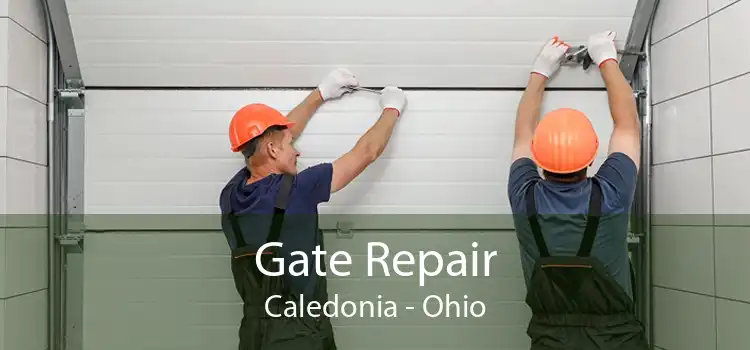 Gate Repair Caledonia - Ohio