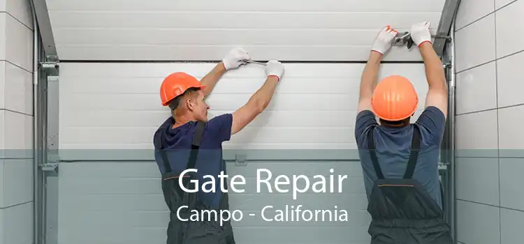 Gate Repair Campo - California