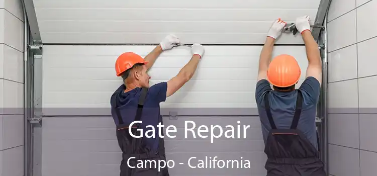 Gate Repair Campo - California