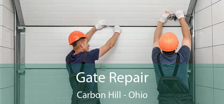 Gate Repair Carbon Hill - Ohio