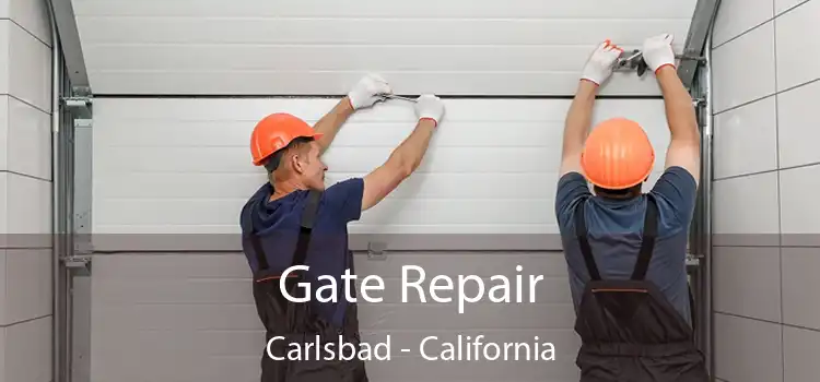 Gate Repair Carlsbad - California