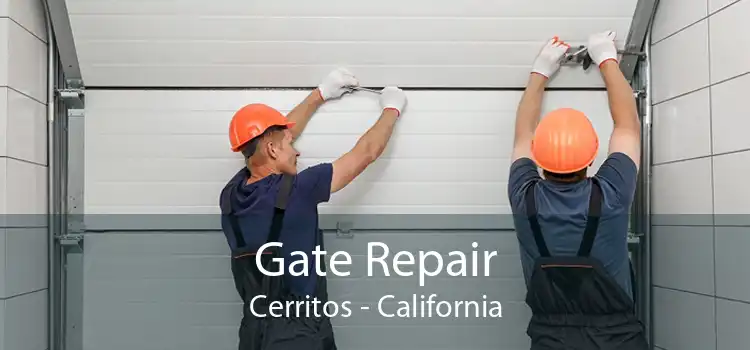Gate Repair Cerritos - California