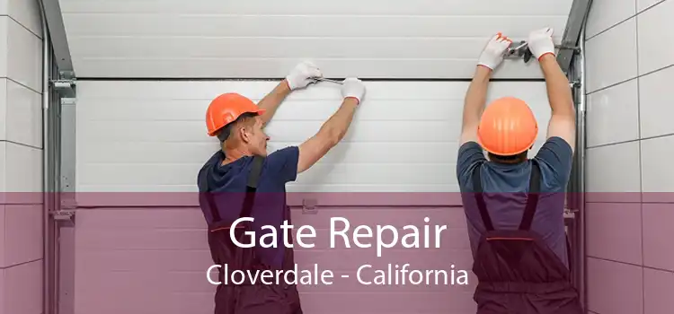 Gate Repair Cloverdale - California