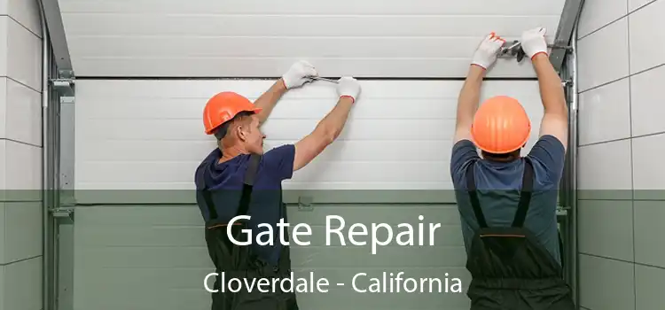 Gate Repair Cloverdale - California