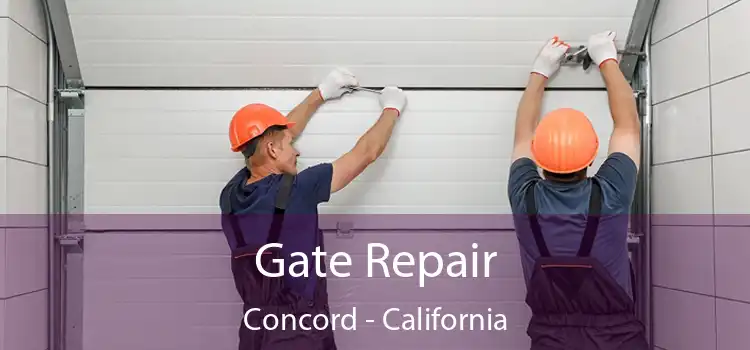 Gate Repair Concord - California