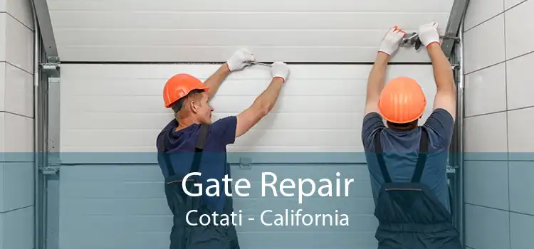 Gate Repair Cotati - California