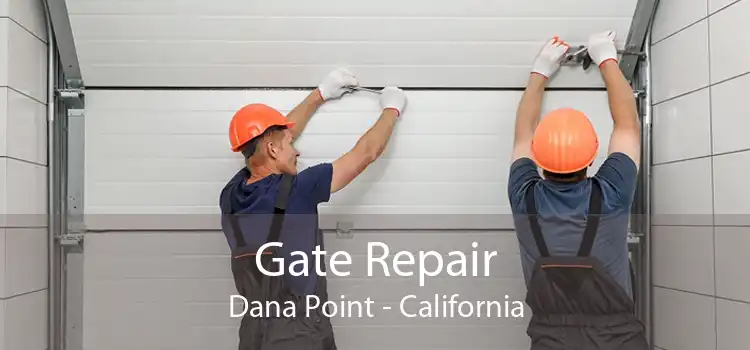 Gate Repair Dana Point - California