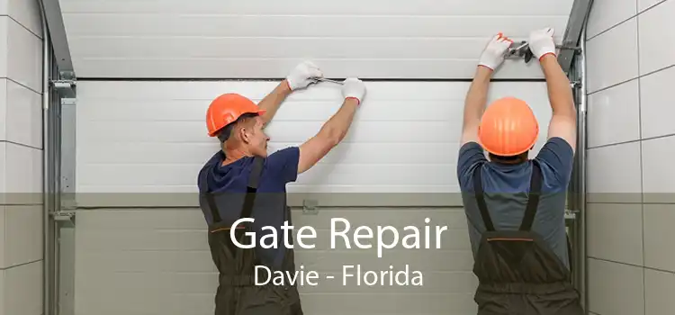Gate Repair Davie - Florida