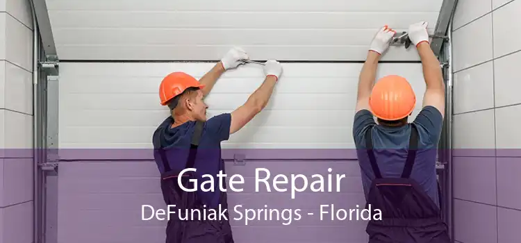 Gate Repair DeFuniak Springs - Florida