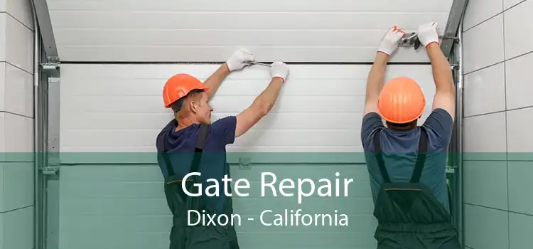 Gate Repair Dixon - California