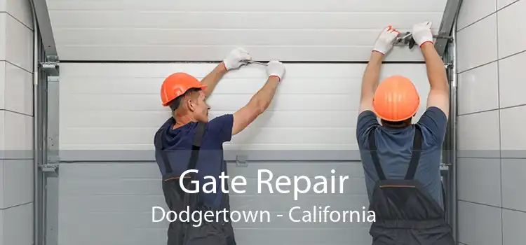 Gate Repair Dodgertown - California