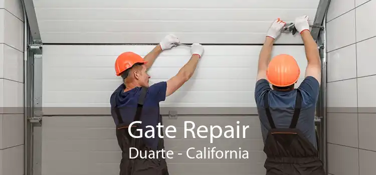 Gate Repair Duarte - California