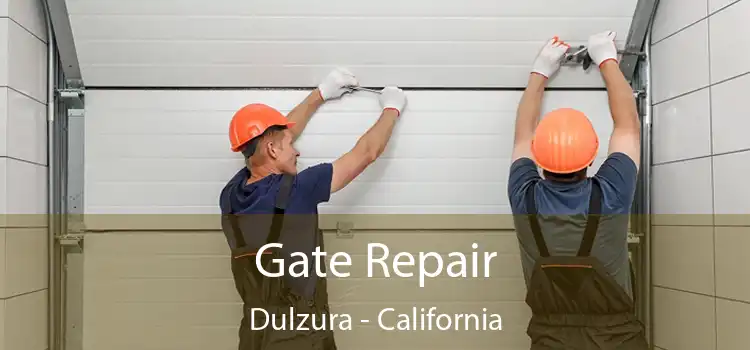 Gate Repair Dulzura - California