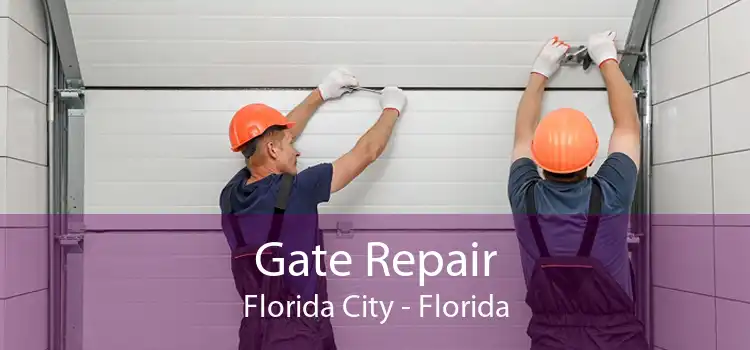Gate Repair Florida City - Florida