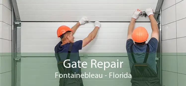 Gate Repair Fontainebleau - Florida
