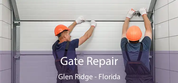 Gate Repair Glen Ridge - Florida