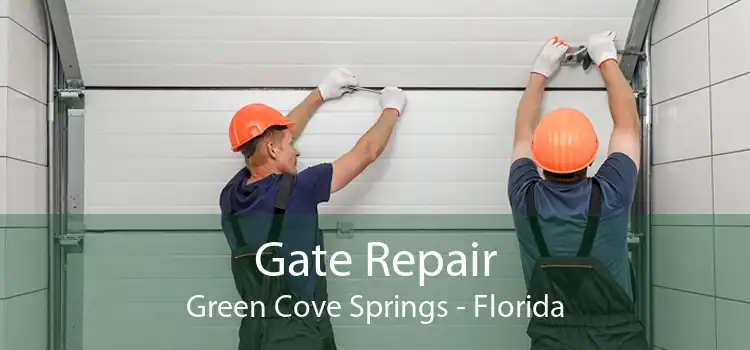 Gate Repair Green Cove Springs - Florida