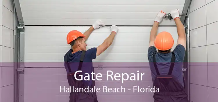 Gate Repair Hallandale Beach - Florida