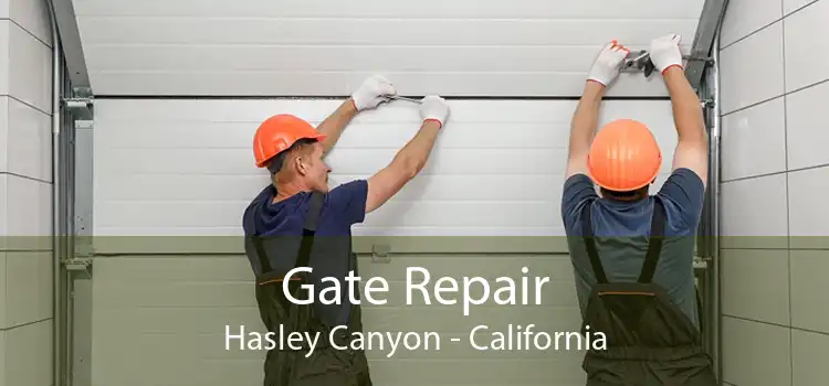 Gate Repair Hasley Canyon - California