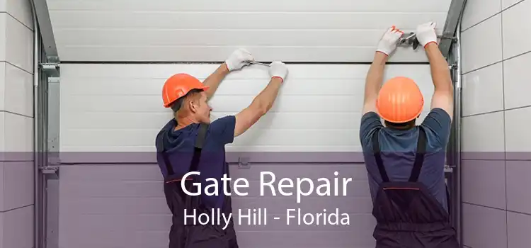 Gate Repair Holly Hill - Florida