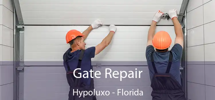 Gate Repair Hypoluxo - Florida