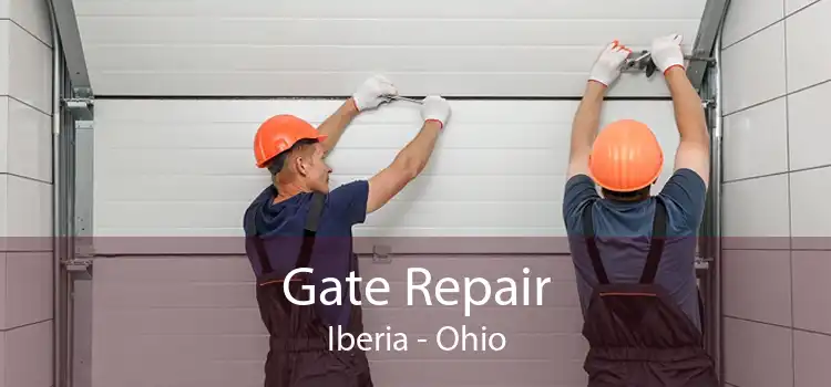 Gate Repair Iberia - Ohio