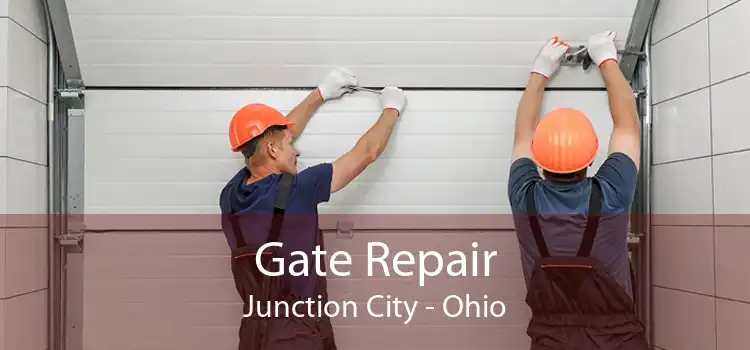 Gate Repair Junction City - Ohio