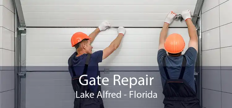 Gate Repair Lake Alfred - Florida