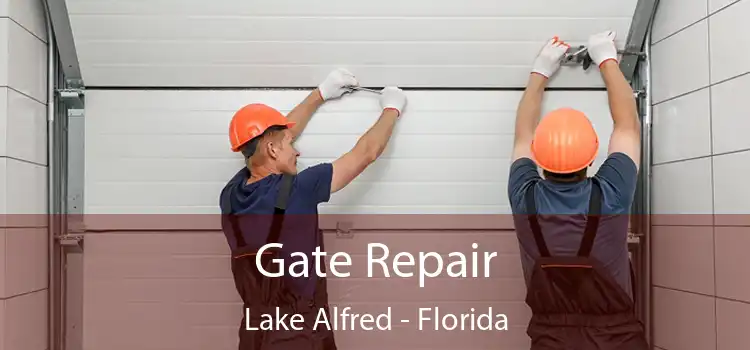 Gate Repair Lake Alfred - Florida