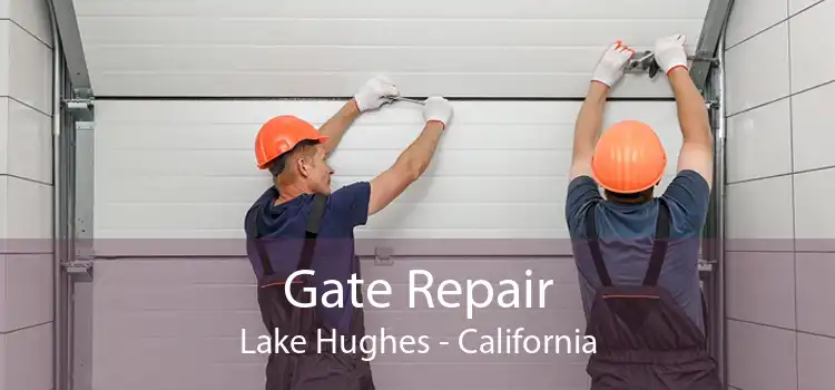 Gate Repair Lake Hughes - California