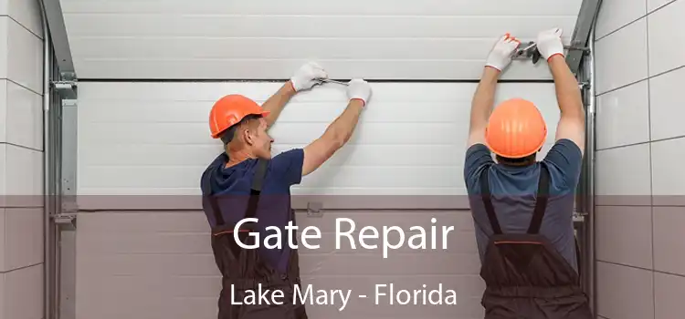 Gate Repair Lake Mary - Florida