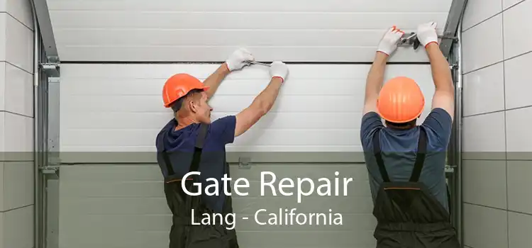 Gate Repair Lang - California