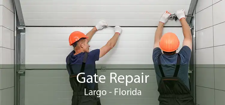 Gate Repair Largo - Florida