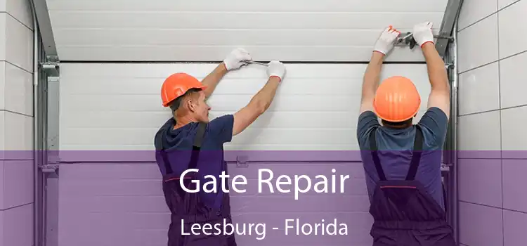 Gate Repair Leesburg - Florida