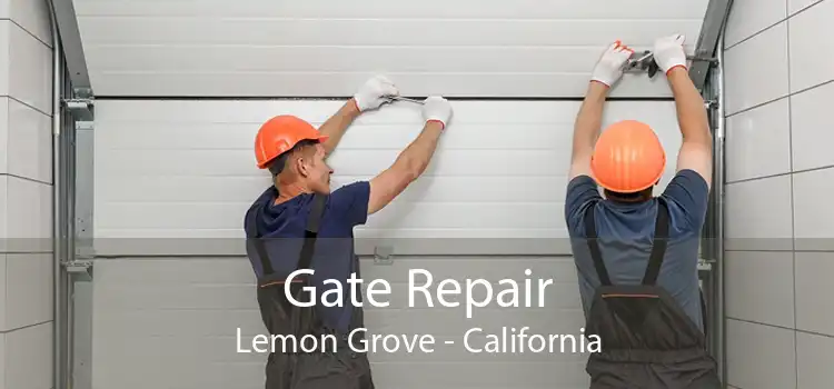 Gate Repair Lemon Grove - California