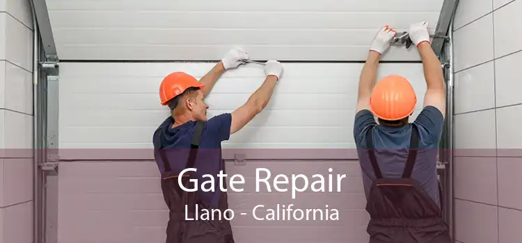 Gate Repair Llano - California