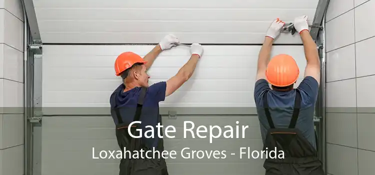 Gate Repair Loxahatchee Groves - Florida