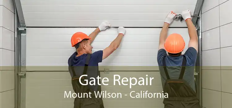 Gate Repair Mount Wilson - California