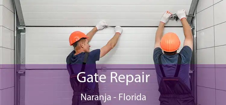 Gate Repair Naranja - Florida