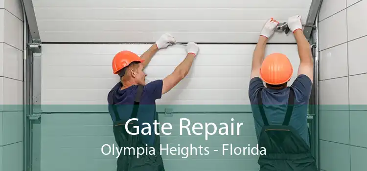 Gate Repair Olympia Heights - Florida