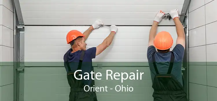 Gate Repair Orient - Ohio