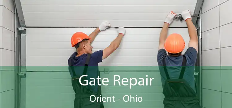 Gate Repair Orient - Ohio