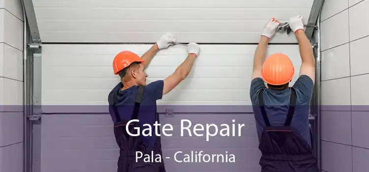 Gate Repair Pala - California