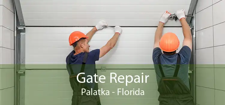 Gate Repair Palatka - Florida