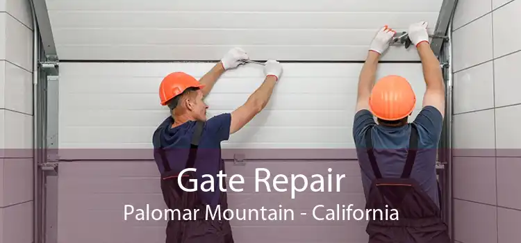 Gate Repair Palomar Mountain - California