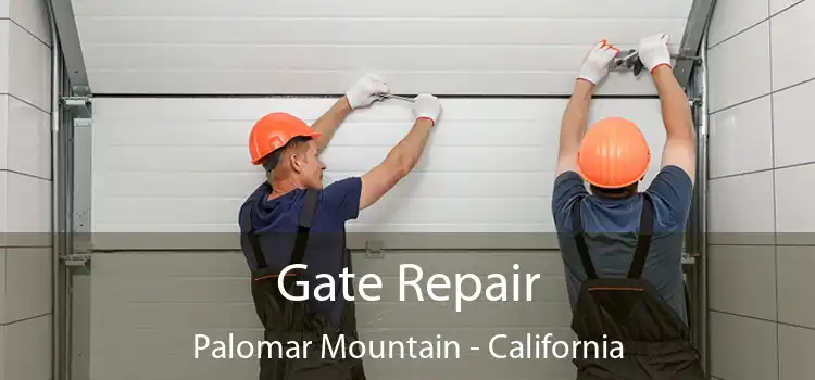 Gate Repair Palomar Mountain - California