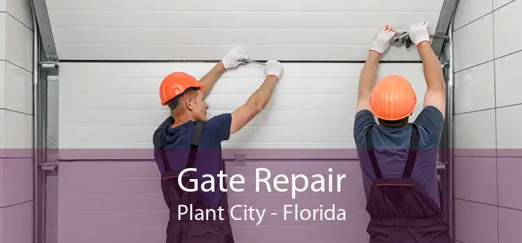 Gate Repair Plant City - Florida