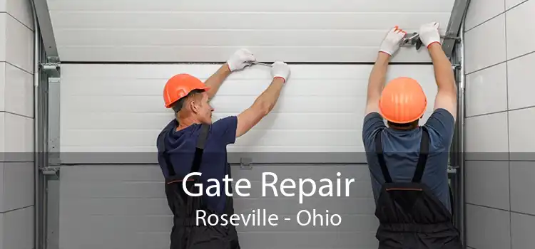 Gate Repair Roseville - Ohio
